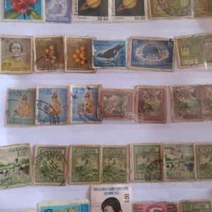 Ceylon Stamps