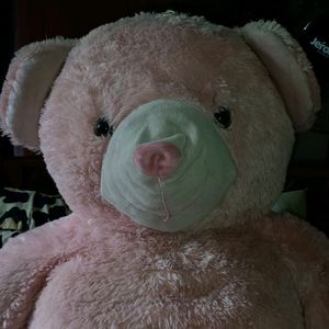 Pink Big Teddy 🫰