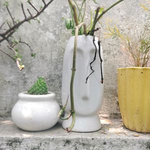 Ceramic And Plastic Pots
