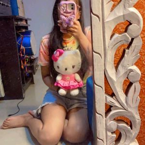 Cutest Small Hello Kitty Soft Toy 🧸