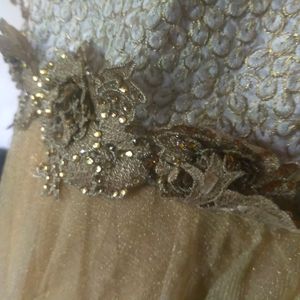 Golden Net Gown