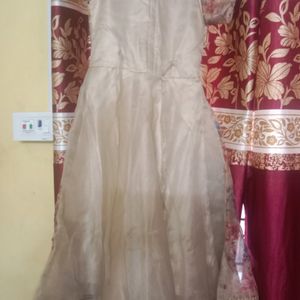 Beautiful Organza Beige  Printed Gown