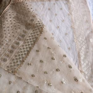 Nude Net Sequence Embroidered Saree (Women)