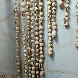 ❣️ Wall Hanging Sea Shell 🐚