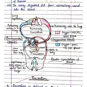 Class10 Biology Notes NCERT CBSE