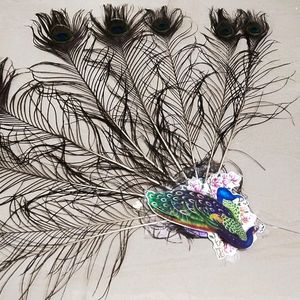 Wall Decorative Item With Dancing Peacock Feathers