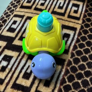 A Cute Colourful Tortoise