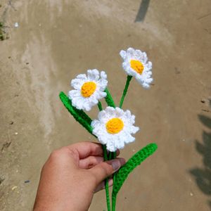 Crochet Daisy Flower 🌼✨