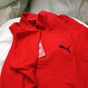 Red Puma Tshirts For Mens