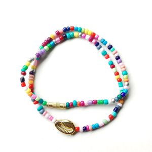 Shell Beaded Multicolor Choker Small Size