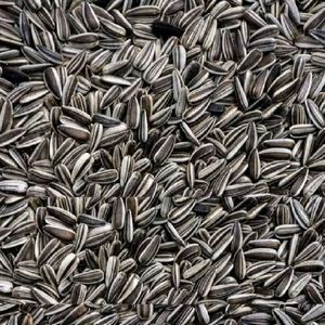 Sunflower Seeds