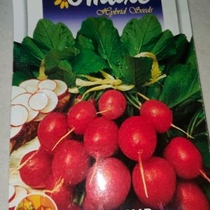 Radish Imported Seeds