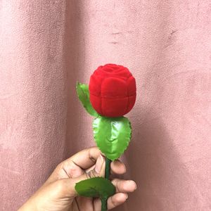 Rose For Proposal