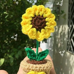 Sunflower Pot🌻