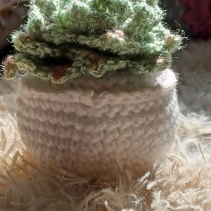 Crochet Succulent Plant