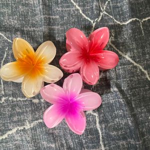 🌸 Hawaiian Hair Claws