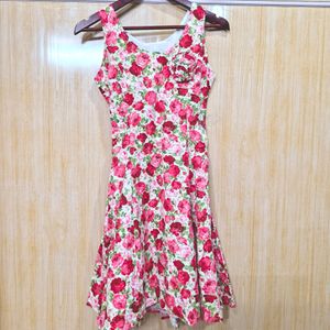 Flower Print Cotton Dress (Women's)