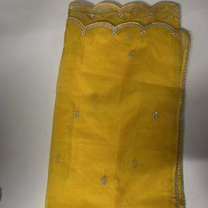 Golden Net Festiver Wear Dupatta