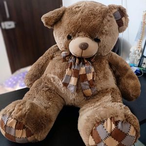 Brand New Teddy Bear In Best Condition