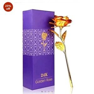 24k Golden Rose