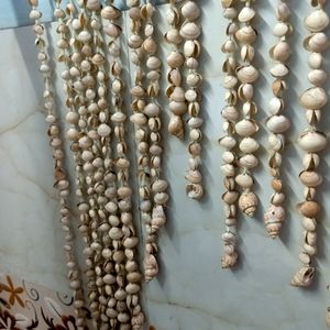 ❣️ Wall Hanging Sea Shell 🐚