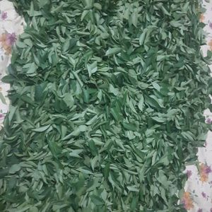 Curry Leaves 100gm