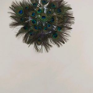 Wall Decorating Peace With Peacock Feather