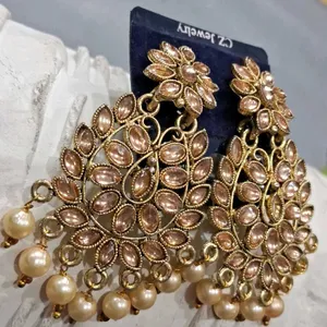 Beautifull Long Earrings