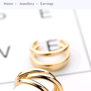 The Elegant Statement Makers- Golden Stud Earrings