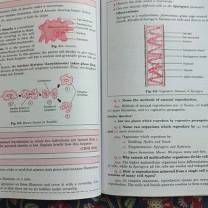 Golden - Science Class X Guide With Sample Papers