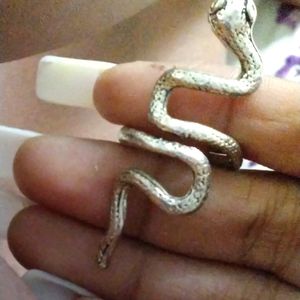 Snake Finger Ring