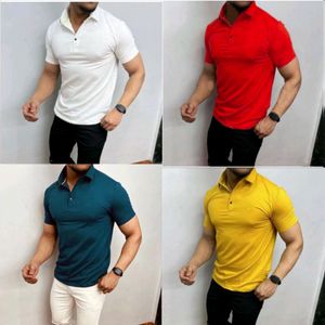 Basic Polo Collar Tshirt- Four Piece Combo