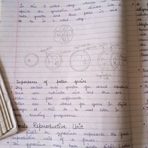 Class 11 and 12 Biology Notes