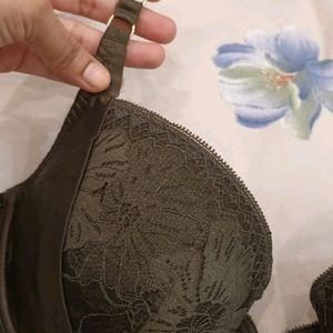 Branded Padded Bra 38B