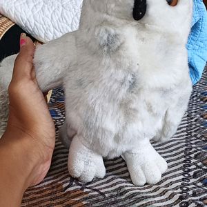 Cute Owl Soft Toys 🧸