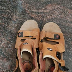 Woodland Sandles Men , Tan Brown Colour