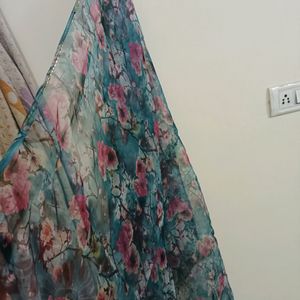 Organza Dupatta