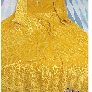 Yellow Velvet Gown