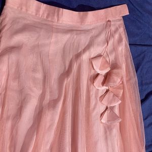 Totally New Skirt(fixed Price)