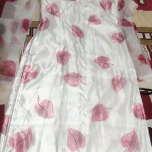 Organza Kurta