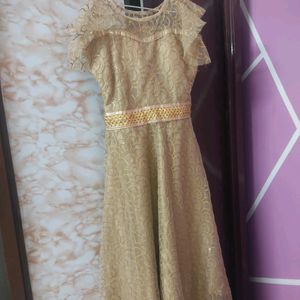 Party Wear Long Gown