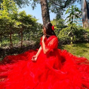 Red Organza Dress