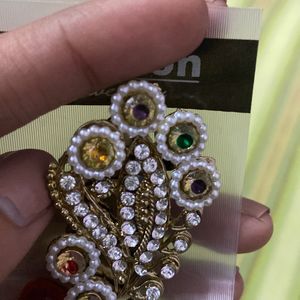 Beautiful Saree Pin