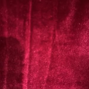 Red Vine Velvet Dress