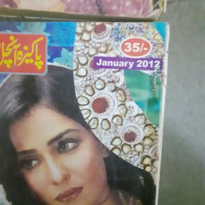 Urdu Novel