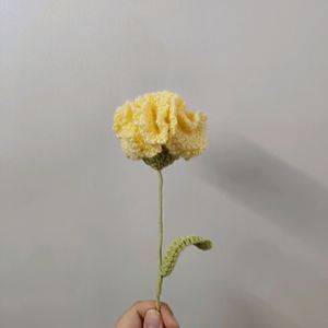 Cute Crochet Carnation Flowers 💐✨️