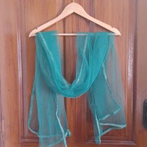 Green Skirt And Shawl