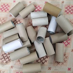 TP Tubes For Craft (24 pcs)