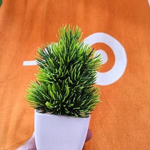 Artificial Plant