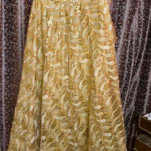 Sequin Golden Skirt